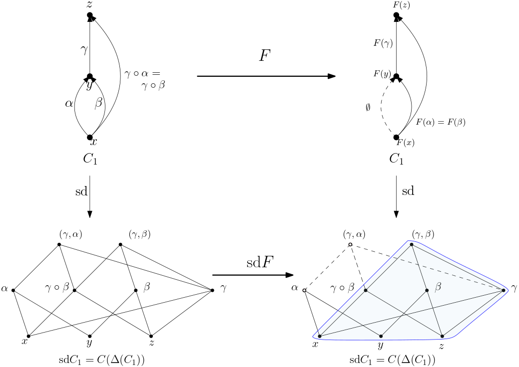 A finite acyclic category represented by a combinatorial complex